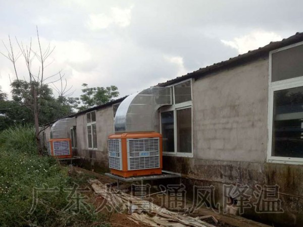 飼養(yǎng)廠|養(yǎng)豬場環(huán)?？照{(diào)通風(fēng)降溫案例